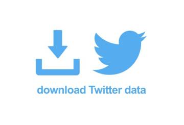 Insider Tips: Maximizing Efficiency With Twitter Video Downloaders